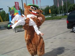 Bilder aus 2011